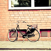 Disciples: Sacred Lands